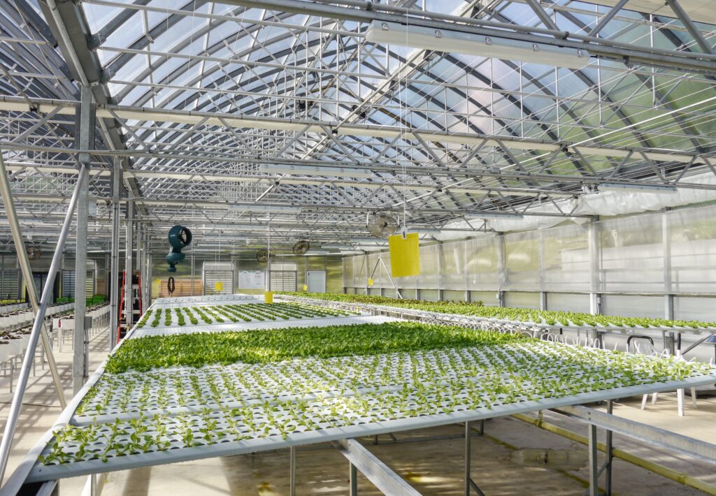 Hydroponic Greenhouse Systems