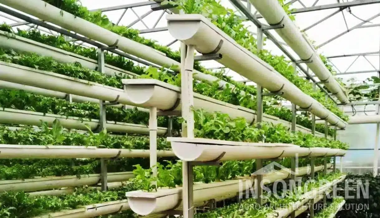 Hydroponic Growth Method